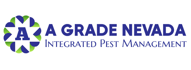 A Grade Nevada