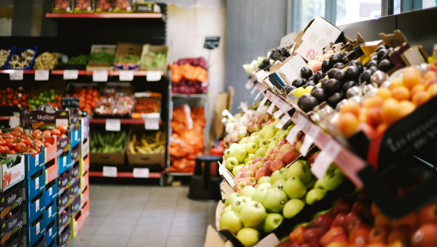 service business pest control