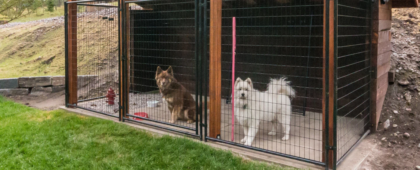 outside luxury kennel
