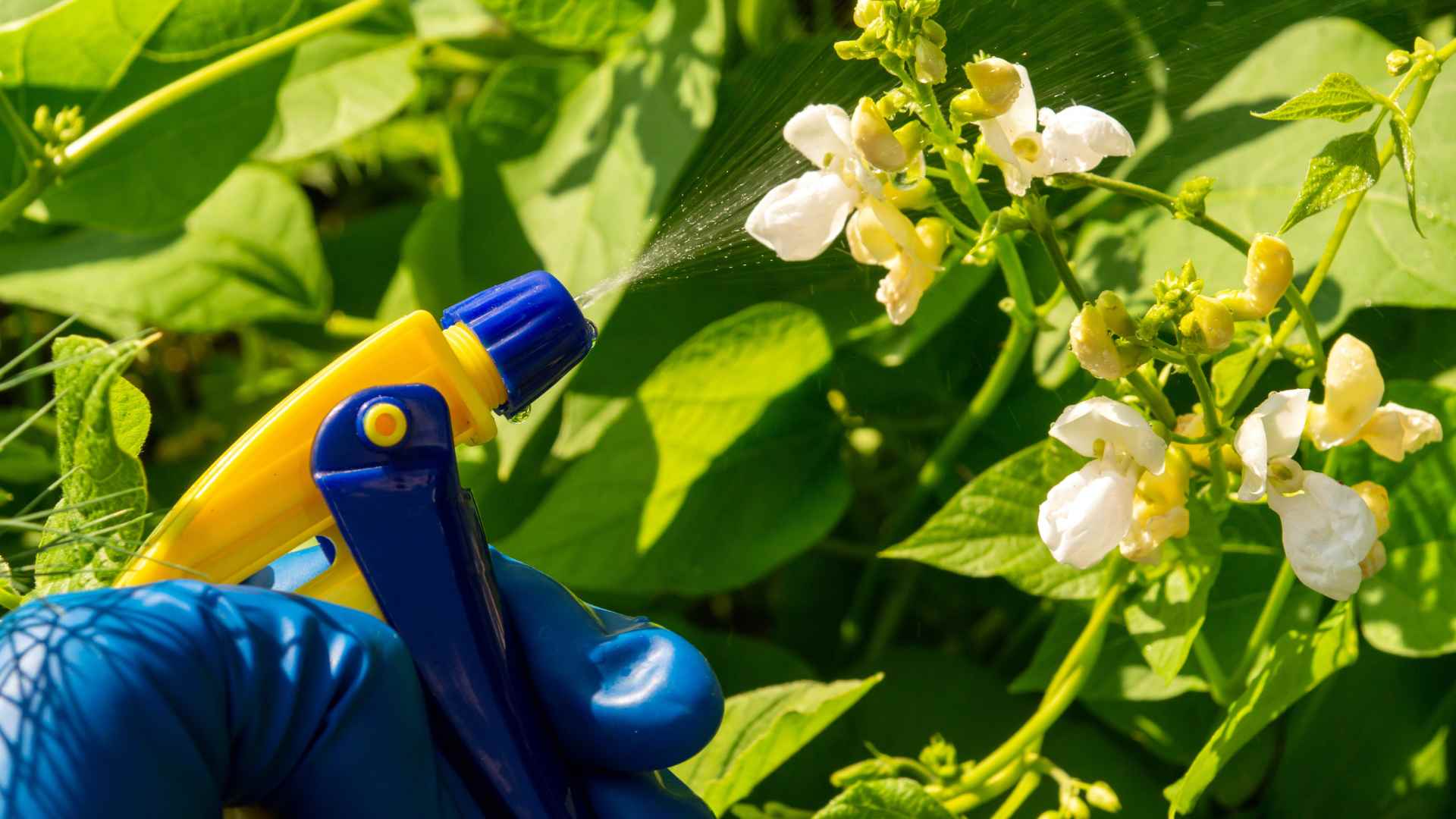 man pest control work pest control about 2