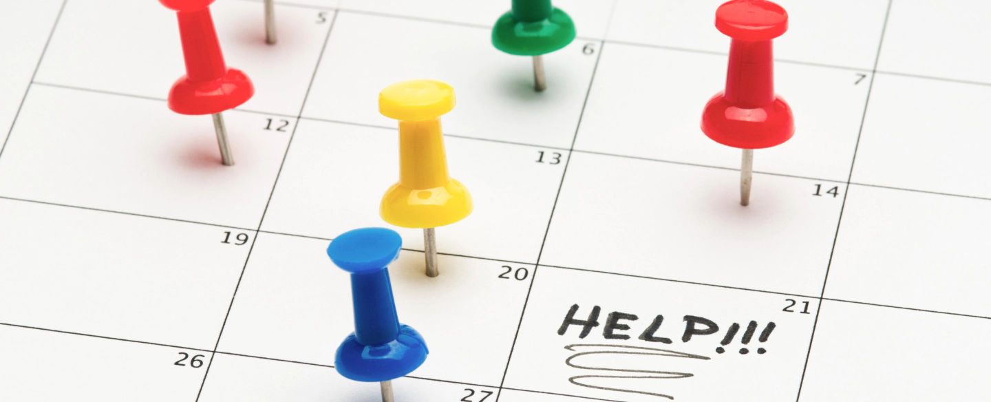 scheduled pest control