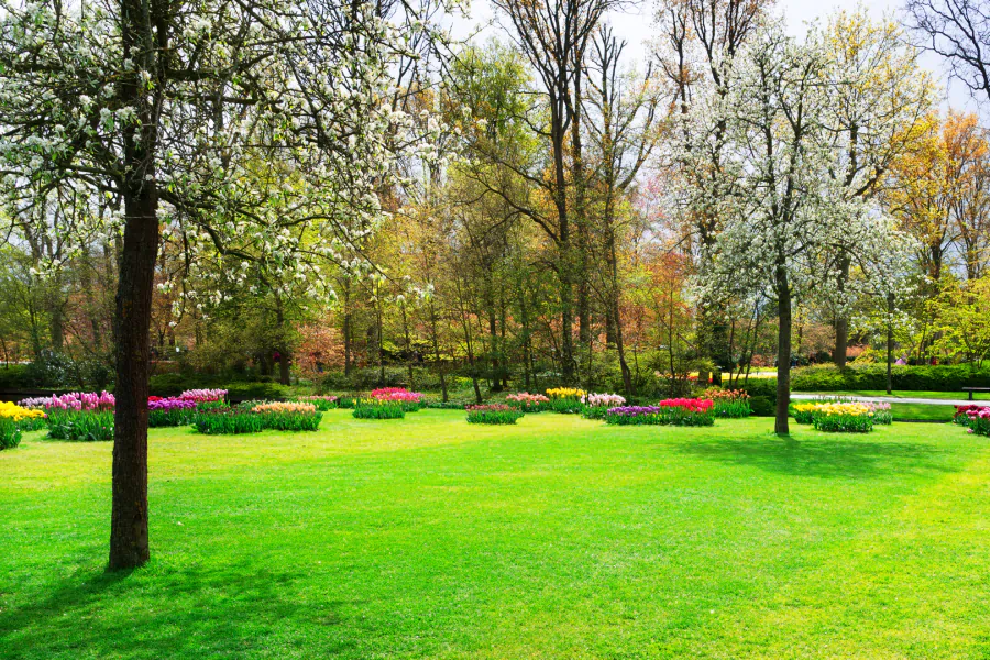 colorful garden park north las vegas nv
