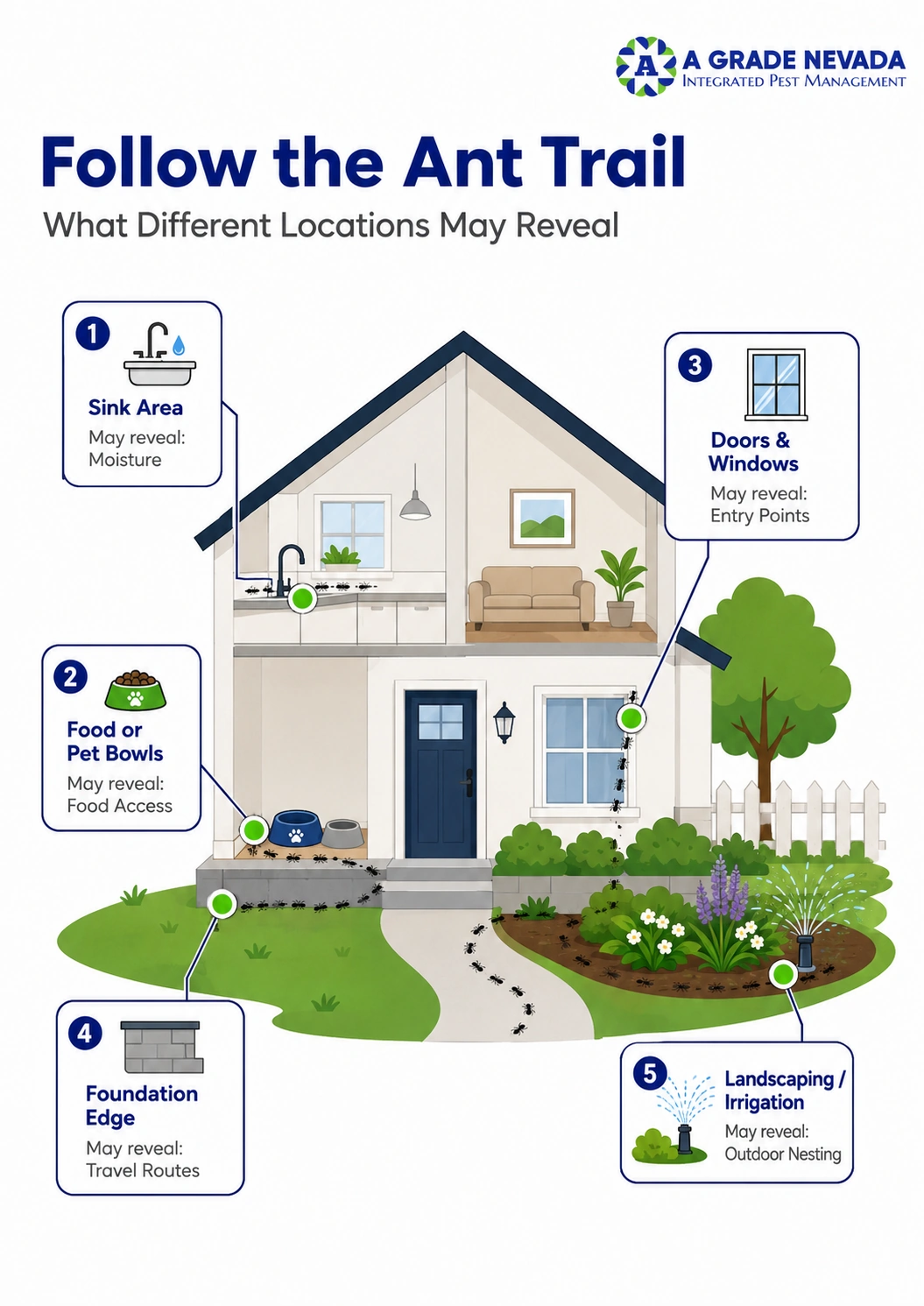 ant activity locations infographic ant activity locations infographic