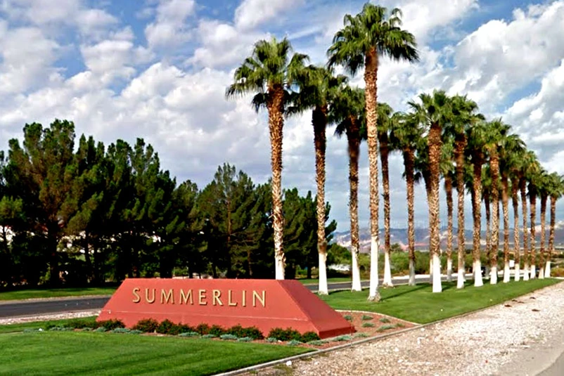 closeup of healthy plant henderson nv summerlin entrance
